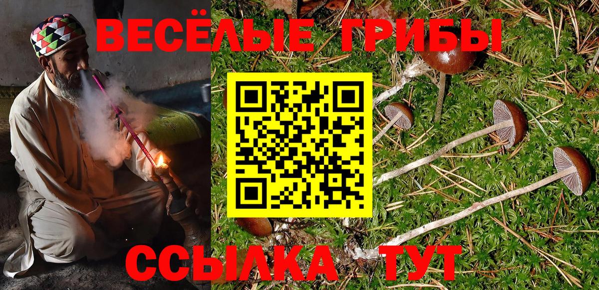 купить   Галлюциногенные грибы прущие грибы  Вход с VPN  Владимир  Псилоцибиновые грибы MAGIC MUSHROOMS 